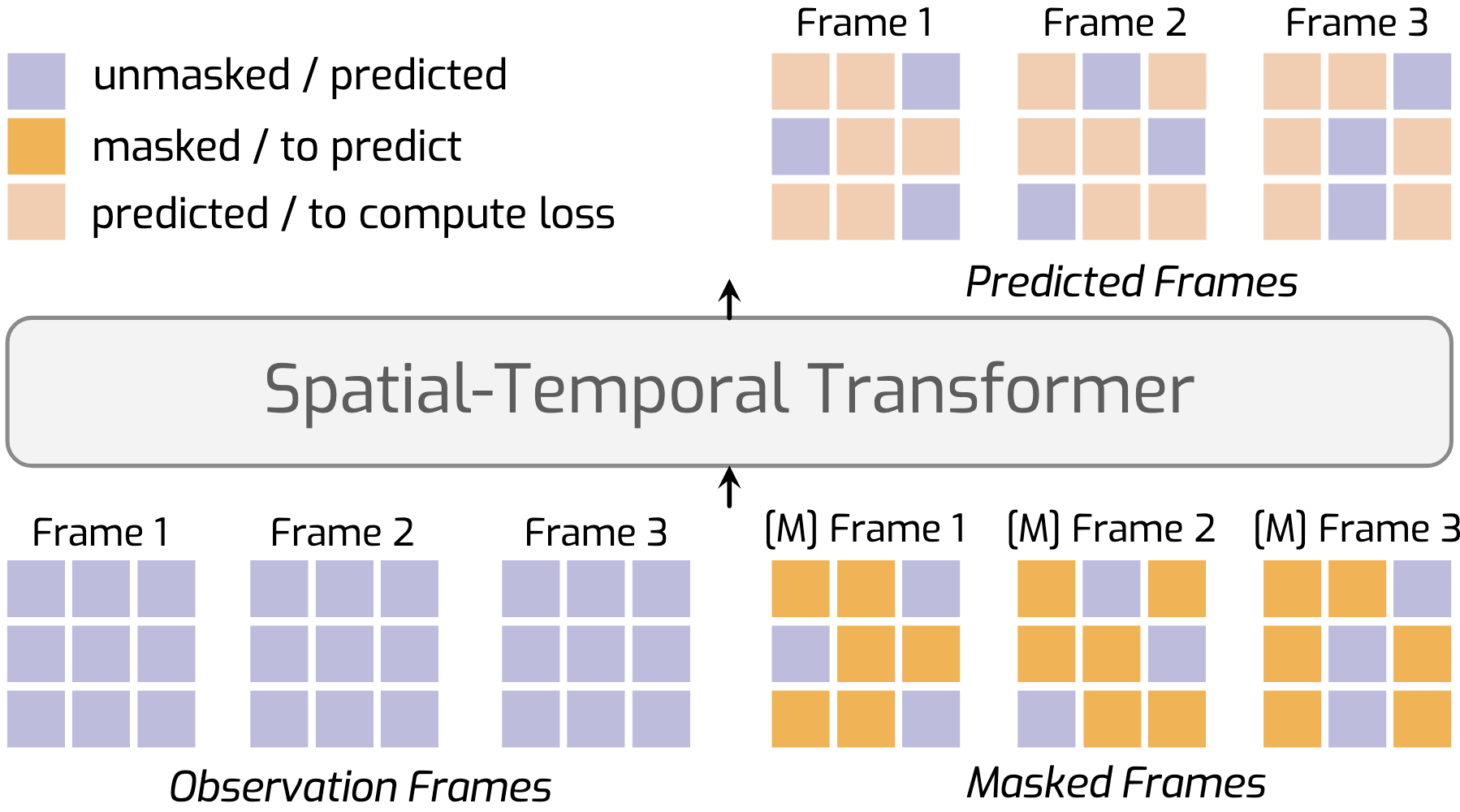 Diagram of the proposed MAGI model